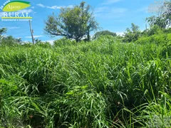 Fazenda / Sítio / Chácara com 2 Quartos à venda, 20000m² no Zona Rural, Bela Vista de Goiás - Foto 27