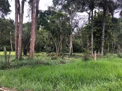 Terreno / Lote / Condomínio à venda, 290000m² no Vila Lindoia, Itacoatiara - Foto 5