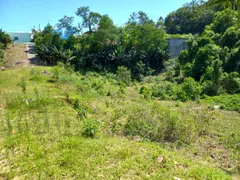 Terreno / Lote / Condomínio à venda, 2801m² no Planalto, Brusque - Foto 16