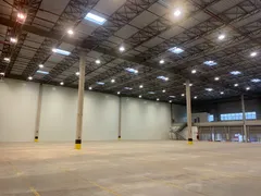 Galpão / Depósito / Armazém para alugar, 3300m² no Bonsucesso, Guarulhos - Foto 5