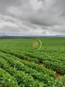 Fazenda / Sítio / Chácara à venda, 6534000m² no Centro, Alto Paraíso de Goiás - Foto 5