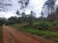 Terreno / Lote / Condomínio à venda, 10000m² no Jardim Estancia Brasil, Atibaia - Foto 4