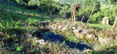 Fazenda / Sítio / Chácara à venda, 120000m² no Zona Rural, Monte Belo do Sul - Foto 15