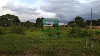 Terreno / Lote / Condomínio com 1 Quarto à venda, 1000m² no Morada Nova, Uberlândia - Foto 9