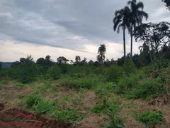 Terreno / Lote / Condomínio à venda no , Linha Nova - Foto 6