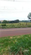 Terreno / Lote / Condomínio à venda, 72600m² no Jardim Ouro Cola, Maringá - Foto 5