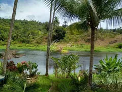 Fazenda / Sítio / Chácara com 4 Quartos à venda, 43000m² no Centro, Valença - Foto 2