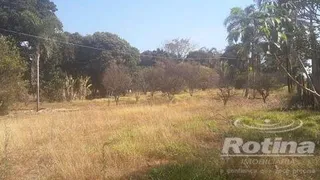 Terreno / Lote / Condomínio à venda, 1000m² no Morada Nova, Uberlândia - Foto 2