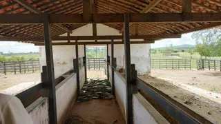 Fazenda / Sítio / Chácara com 4 Quartos à venda, 250m² no , Glória do Goitá - Foto 6