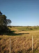 Fazenda / Sítio / Chácara com 3 Quartos à venda, 200m² no Centro, Viamão - Foto 28