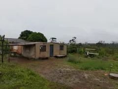 Fazenda / Sítio / Chácara com 2 Quartos à venda, 4500m² no Gama, Brasília - Foto 4