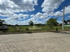 Terreno / Lote / Condomínio à venda, 50000m² no São Ciro, Caxias do Sul - Foto 2