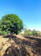 Fazenda / Sítio / Chácara com 3 Quartos à venda, 1500m² no Area Rural de Sete Lagoas, Sete Lagoas - Foto 1