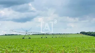 Fazenda / Sítio / Chácara à venda, 1600000m² no Zona Rural, Perdizes - Foto 1