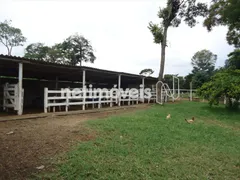 Fazenda / Sítio / Chácara com 7 Quartos à venda, 65328m² no Parque Industrial de Betim, Betim - Foto 15