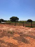 Fazenda / Sítio / Chácara à venda, 2000m² no Rural, Nova Granada - Foto 43