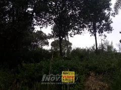 Terreno / Lote Comercial à venda no São Luiz, Caxias do Sul - Foto 2