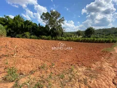 Fazenda / Sítio / Chácara com 3 Quartos à venda, 200m² no , Mateus Leme - Foto 55