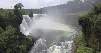 Fazenda / Sítio / Chácara com 7 Quartos à venda no , Goiatins - Foto 17