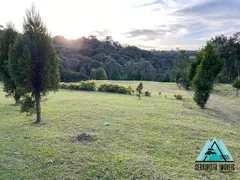 Fazenda / Sítio / Chácara com 1 Quarto à venda, 30000m² no Zona Rural, Campo Alegre - Foto 1