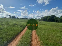 Fazenda / Sítio / Chácara à venda, 56m² no Zona Rural, Cassilândia - Foto 15