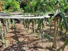 Fazenda / Sítio / Chácara com 3 Quartos à venda, 5000m² no Comunidade Urbana de Rio Grande, Guarapari - Foto 14