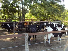 Fazenda / Sítio / Chácara com 6 Quartos à venda, 300m² no , Alpinópolis - Foto 49