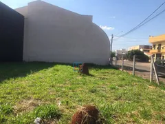 Terreno / Lote Comercial à venda, 331m² no Jardim Dona Regina, Santa Bárbara D'Oeste - Foto 3