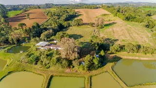 Fazenda / Sítio / Chácara com 3 Quartos à venda, 205000m² no Area Rural de Fazenda Rio Grande, Fazenda Rio Grande - Foto 2
