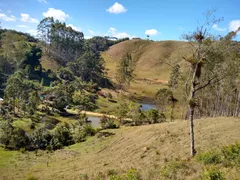 Fazenda / Sítio / Chácara com 2 Quartos à venda, 240000m² no Pouso Alto, Natividade da Serra - Foto 52