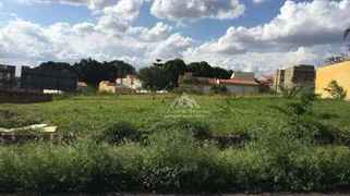 Terreno / Lote / Condomínio à venda, 300m² no Vila Ana Maria, Ribeirão Preto - Foto 1