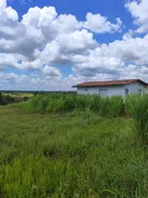 Fazenda / Sítio / Chácara com 2 Quartos à venda, 2000m² no , Monte Alegre - Foto 26