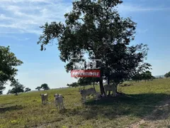 Fazenda / Sítio / Chácara à venda no Zona Rural, Jussara - Foto 39