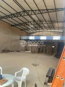 Galpão / Depósito / Armazém à venda, 360m² no Segismundo Pereira, Uberlândia - Foto 6