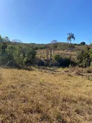 Fazenda / Sítio / Chácara com 3 Quartos à venda, 732000m² no Zona Rural, Jaraguá - Foto 22