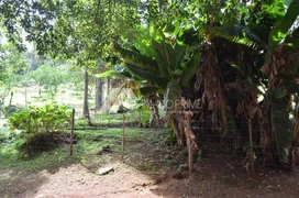 Fazenda / Sítio / Chácara à venda, 38000m² no Varzea Grande, Gramado - Foto 14