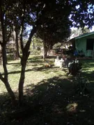 Fazenda / Sítio / Chácara com 2 Quartos à venda, 20000m² no Area Rural de Sao Jose dos Pinhais, São José dos Pinhais - Foto 2