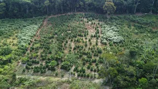 Fazenda / Sítio / Chácara à venda, 20000m² no Zona Rural, Marechal Floriano - Foto 7