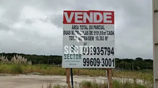 Terreno / Lote Comercial à venda, 10304m² no Miringuava, São José dos Pinhais - Foto 4