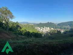 Terreno / Lote / Condomínio à venda, 719m² no Ponta Aguda, Blumenau - Foto 4