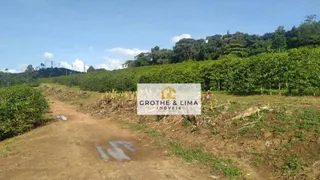Fazenda / Sítio / Chácara à venda, 1111111m² no Zona Rural, Campanha - Foto 16
