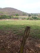 Fazenda / Sítio / Chácara com 7 Quartos à venda no , Araçu - Foto 14
