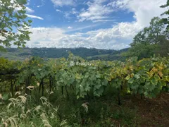 Terreno / Lote / Condomínio à venda no Centro, Monte Belo do Sul - Foto 2