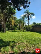 Fazenda / Sítio / Chácara com 2 Quartos à venda, 100m² no Chacara Recreio Cruzeiro do Sul, Santa Bárbara D'Oeste - Foto 1