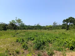 Fazenda / Sítio / Chácara à venda, 75000m² no Ilha de Guaratiba, Rio de Janeiro - Foto 16