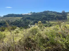 Terreno / Lote / Condomínio à venda, 20000m² no Faria Lemos, Bento Gonçalves - Foto 21