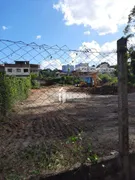 Terreno / Lote / Condomínio para venda ou aluguel, 2180m² no Ipiranga, Juiz de Fora - Foto 3