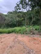 Fazenda / Sítio / Chácara à venda, 24000m² no Zona Rural, Mandirituba - Foto 13