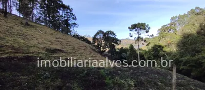 Terreno / Lote / Condomínio à venda, 37000m² no Zona Rural, Virgínia - Foto 11