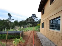 Fazenda / Sítio / Chácara com 4 Quartos à venda, 3069m² no Araras dos Pereiras, Bragança Paulista - Foto 11